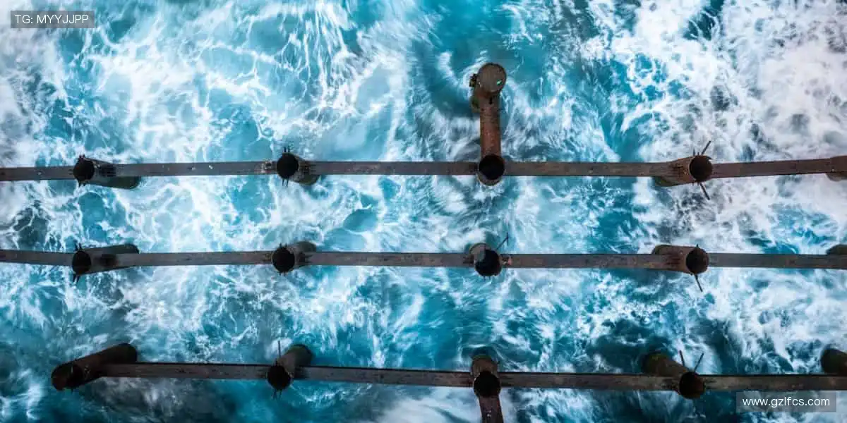 📱实时追踪，精彩瞬间不错过！📸